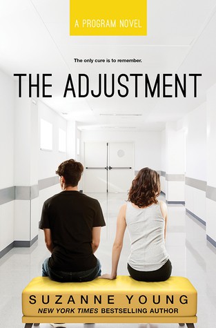 The Adjustment