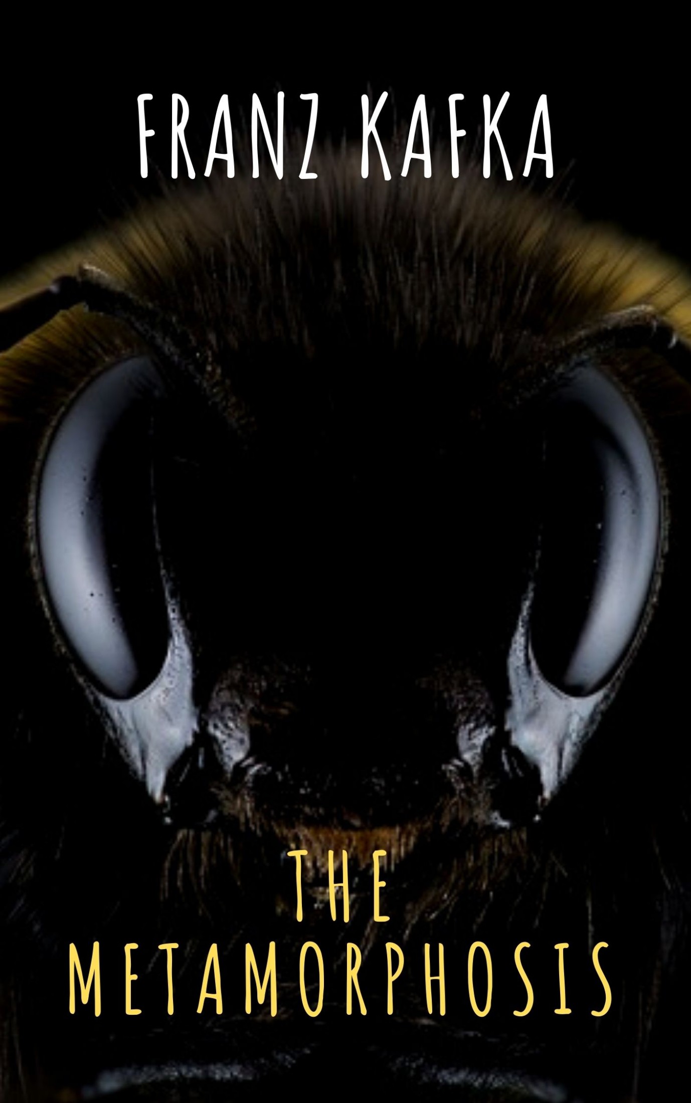 The Metamorphosis